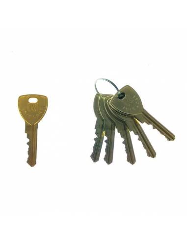 Llaves Maestras Rielda RS1 Nuevo Sistema (llave gruesa) - Cerraduras-Candados