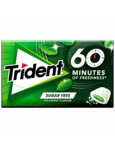 Trident 60 Minutes Menthe - Chewing gums