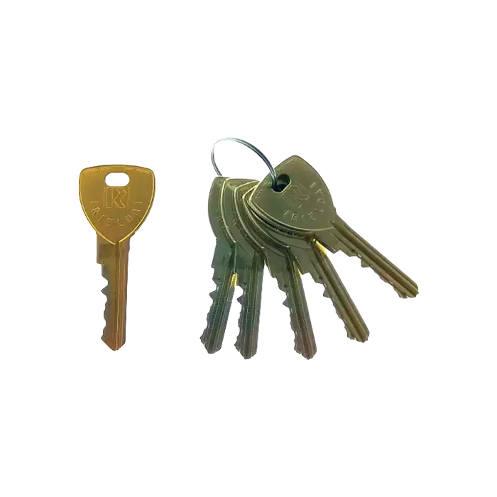 Llaves Maestras Rielda RS1 Nuevo Sistema (llave gruesa)-Distribución Mayorista